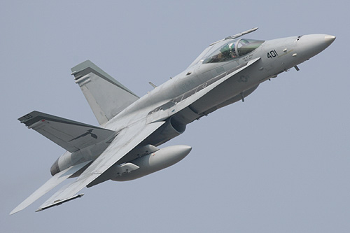 VFA-94Mighty Shrikes