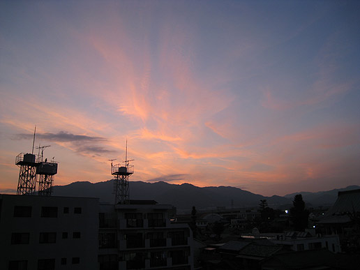 IMG_3880.jpg