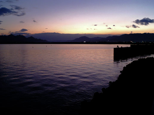 20071111-1.jpg