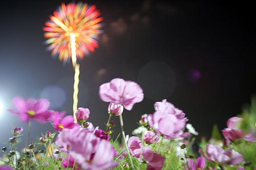 fireworks