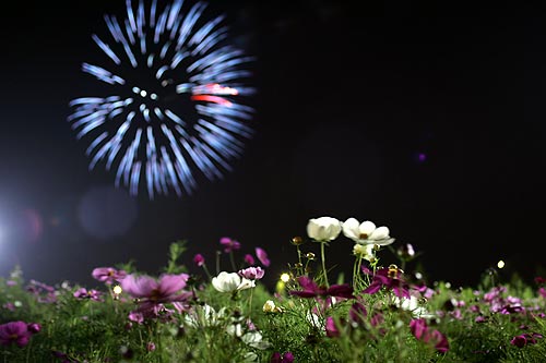 fireworks
