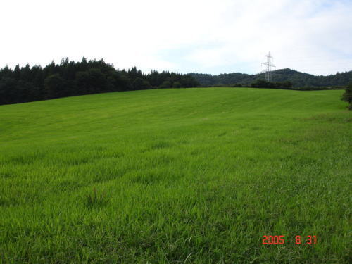 高畠・2005年08月31日