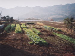 2005.12.12