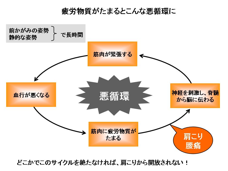 疲労物質がたまるとこんな悪循環に 本山賢治の知的 ビジネスマン日記 楽天ブログ