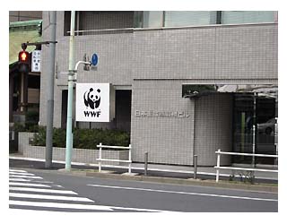 Wwf パンダショップ バザーへ行ってきました Finlandia 楽天ブログ