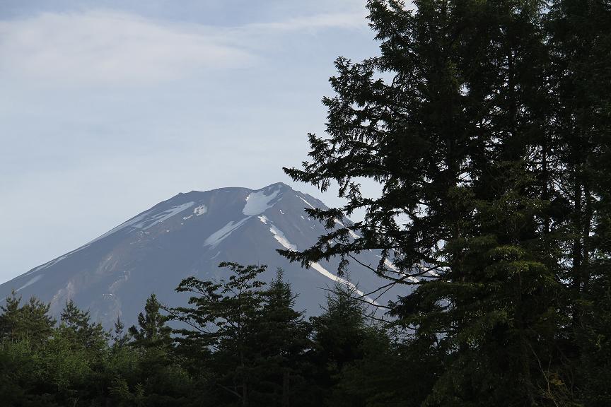 夏の富士山