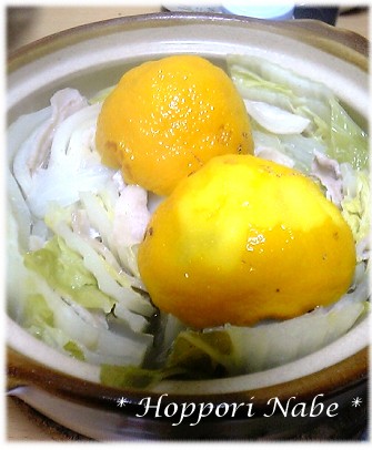 ホッポリ鍋4.JPG