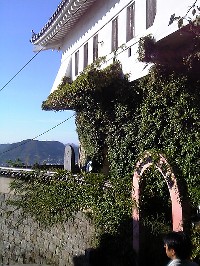 V6010478.jpg