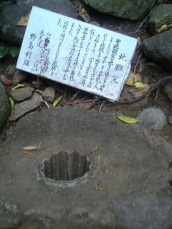 足摺岬03.jpg