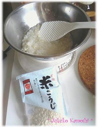 こうじ菌.JPG