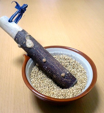 ごま1.JPG
