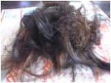 hair1.jpg