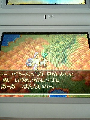 ドラクエ科白.jpg