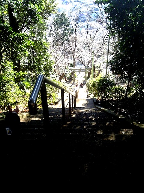 神社から.JPG