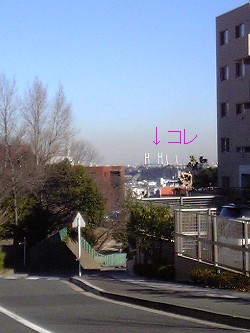 20081227_01.JPG
