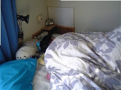 男1.JPG