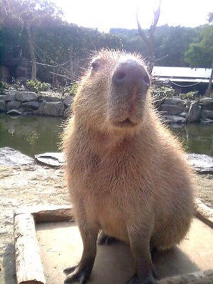 長崎バイオ_V6010824.jpg