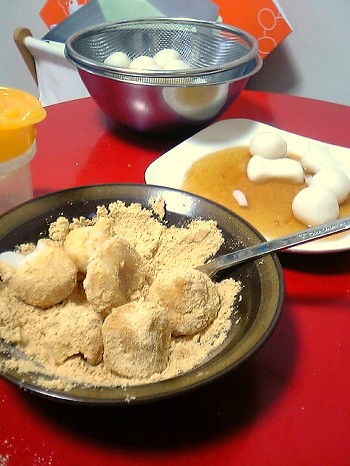 コピー ~ 20090505_01.JPG