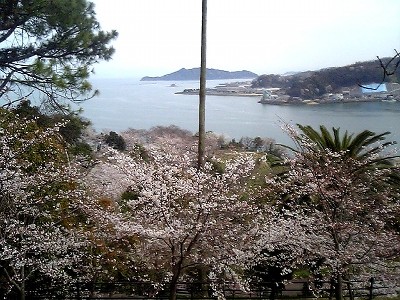音戸03.jpg