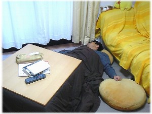 おこた1.JPG