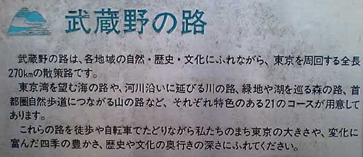 武蔵野の路 Lsd スローダウン 楽天ブログ