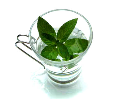 ●まりもこ日記●