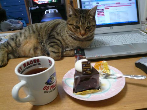 ケーキとみかん01