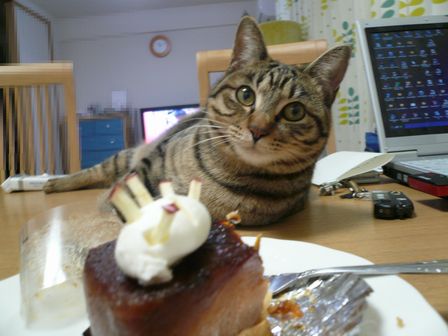 ケーキ01