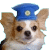 チビミミ2.gif