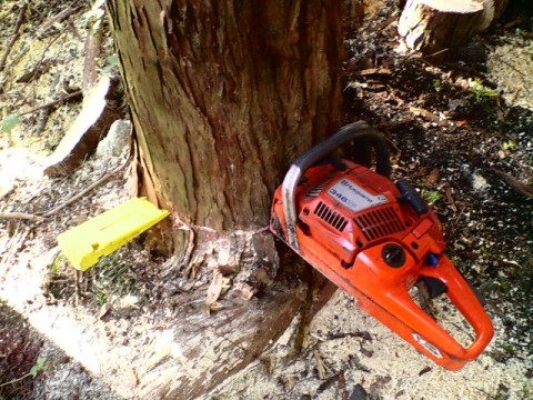 20071017092533.jpg