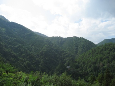 IMG_1067.JPG