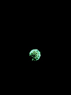 20070929204047.jpg