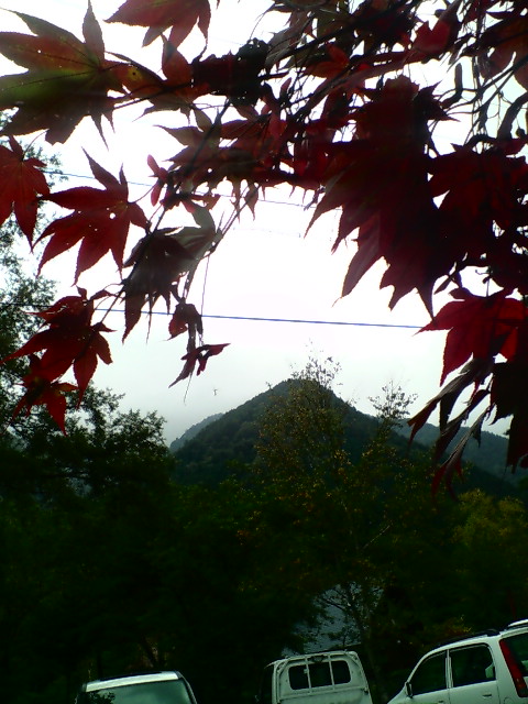 20071014133215.jpg