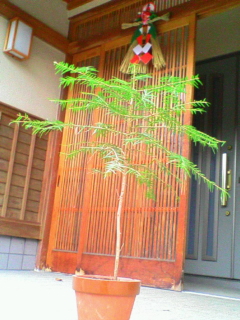 20080107163543.jpg