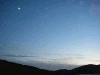ムカデ