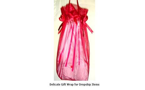 lingerie_dropship04.JPG