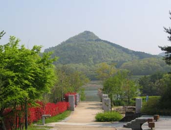 有馬富士2008 001-2.jpg