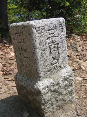 有馬富士2008 028-2.jpg