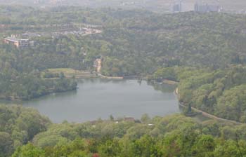 有馬富士2008 029-2.jpg