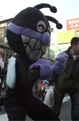 nd006.jpg