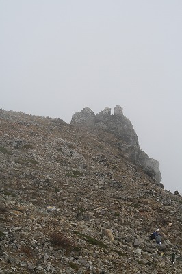 IMG_4856.jpg