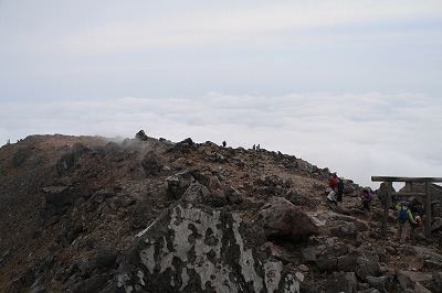 IMG_4863.jpg