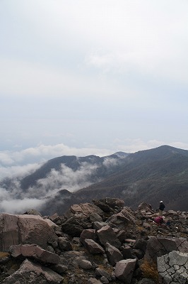 IMG_4878.jpg