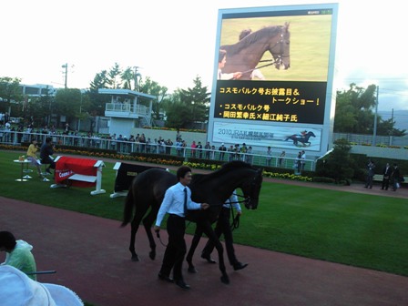 コスモバルク 札幌競馬場に | 地方競馬の楽天競馬｜日替わりライターブログ - 楽天ブログ