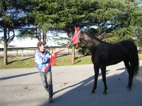 ナイキアディライト ぷち引退式と出発 地方競馬の楽天競馬 日替わりライターブログ 楽天ブログ