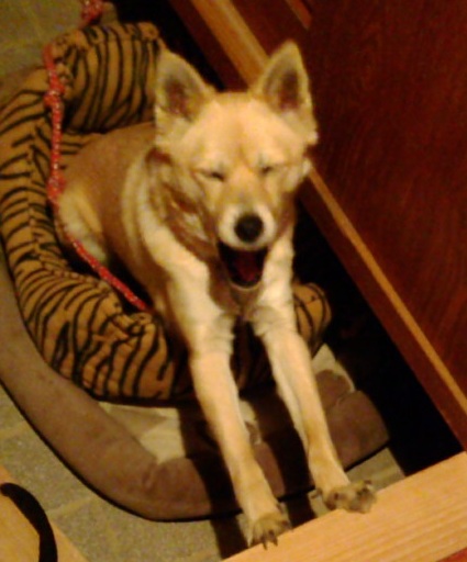 2011-02-02変顔.jpg