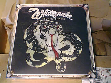 BOX 'O' SNAKES / WHITESNAKE
