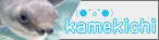 すっぽんもど記