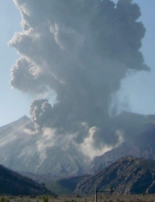 桜島昭和火口爆発噴火 黒神さまは文化財(腹五社神社・埋没鳥居) 楽天ブログ
