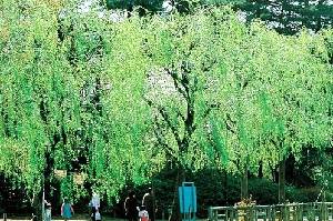0408-1.jpg